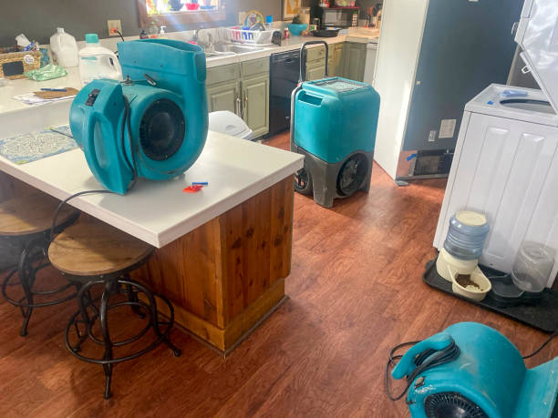 Best Water damage restoration near me  in Pce, LA