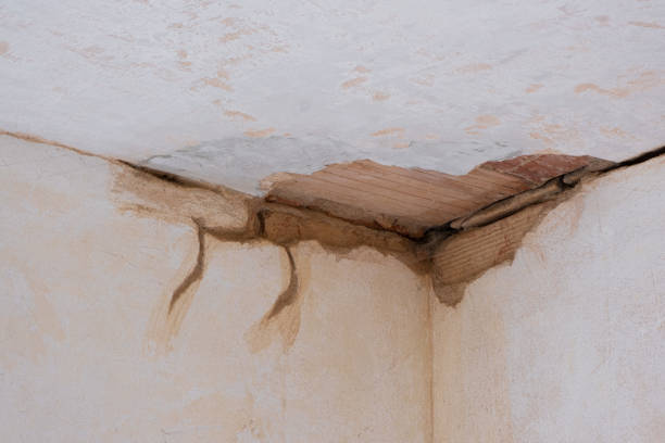 Best Mold removal after water damage  in Pce, LA