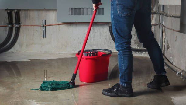 Best Water damage restoration near me  in Pce, LA