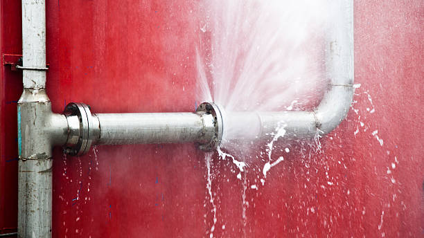 Best Mold removal after water damage  in Pce, LA